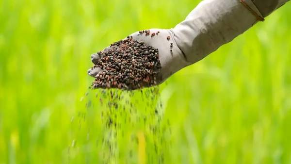 Tecnologías Verdes y Patentes Verdes: el retrato de la innovación sostenible brasileña en 2026