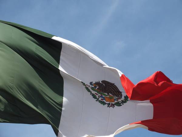 ¿Puede el IMPI resolver daños y perjuicios? Un pendiente en la implementación de la Reforma